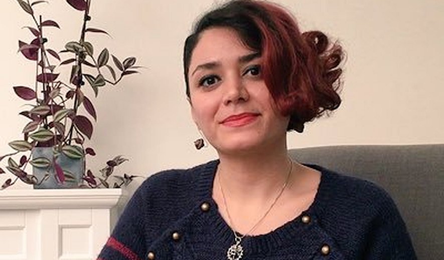 نقش جامعه مدنی فرانسه در تغییر قانون پایان دادن داوطلبانه به بارداری 