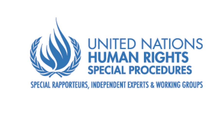 Execution of Iran athlete sends deeply disturbing message to protesters, say UN experts