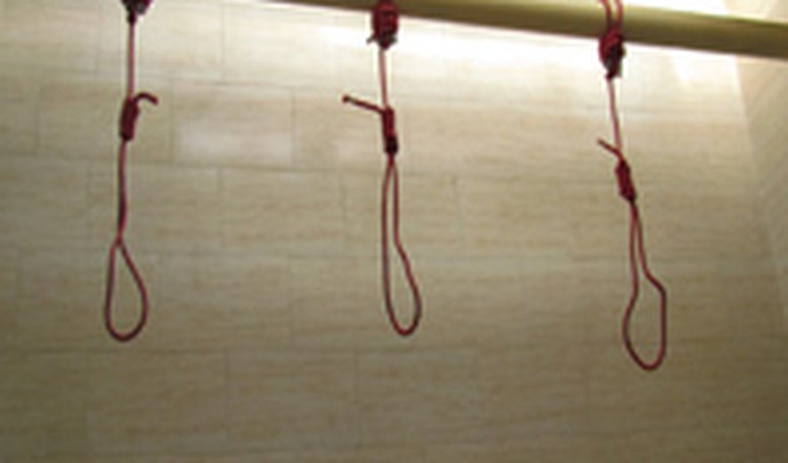 The Execution Wave Continues: Three Official and 11 Unofficial Executions in Iran Today